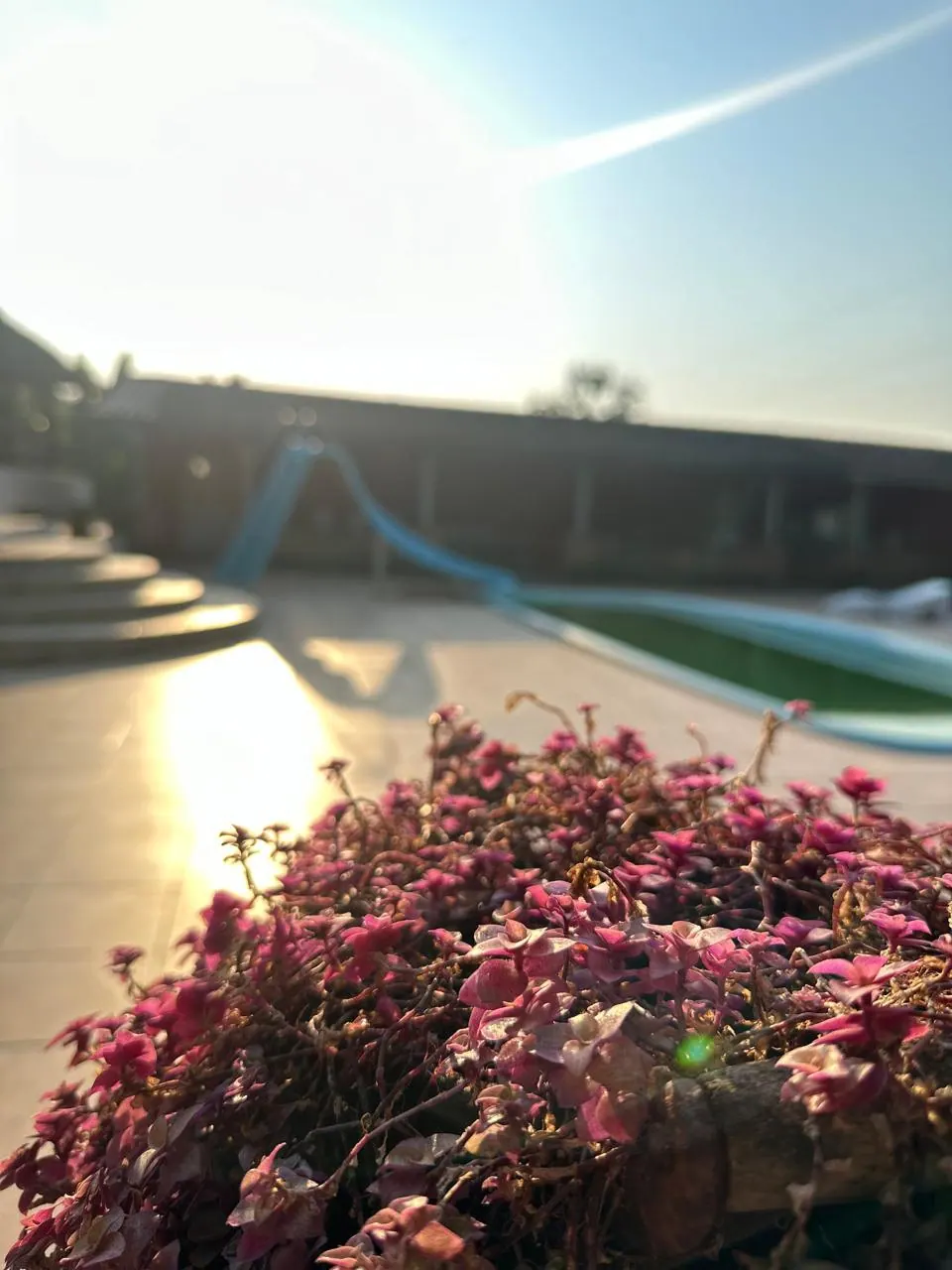 Piscina do Recanto Vitória no fim da tarde, com flores em primeiro plano e luz dourada